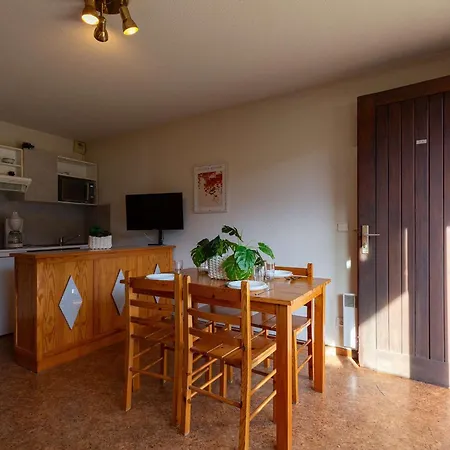 Lejlighed Pour 6 Pres Des Pistes Avec Parking A Saint-lary - Fr-1-296-537 Saint-Lary-Soulan